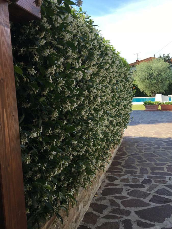 Casa Pietra Del Sole Villa Lucca Bagian luar foto